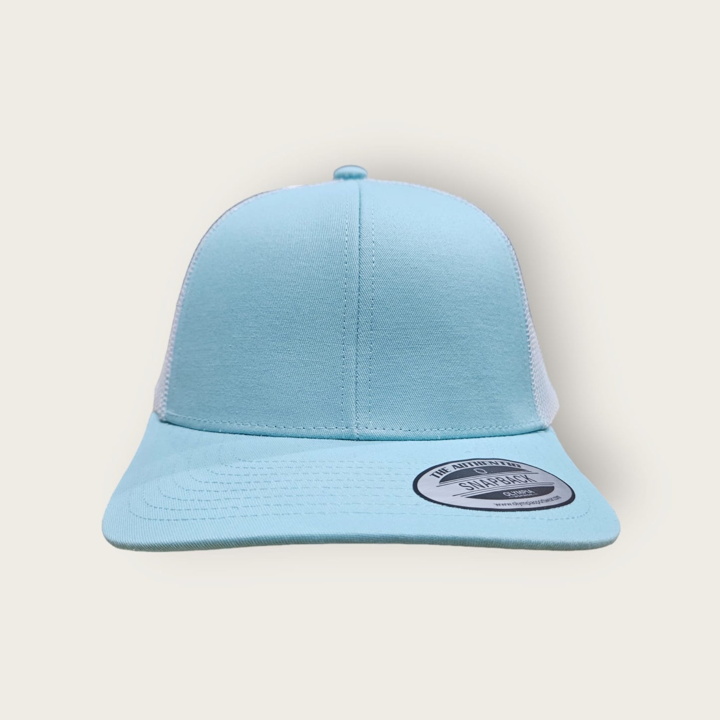 6 Panel Seafoam/White Trucker Hat 110C